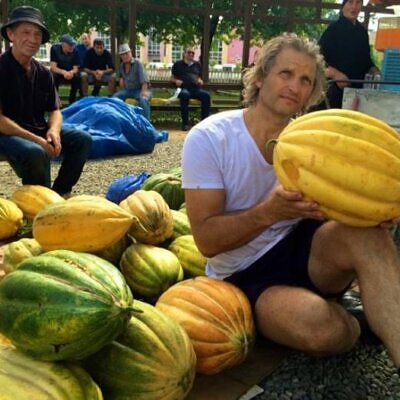 Cucumis melo zugdidi giant - Melão Gigante de Zugdidi, MelÃo Gigante Zugdidi, Giant Musk Melon