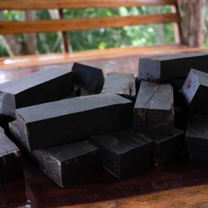 Dalbergia melanoxylon - Ébano Negro, Ebony Africano, Mpingo, African Blackwood, Árvore da Música - Imagem 10
