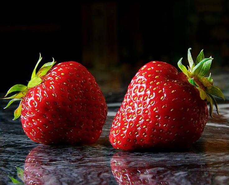 Fragaria vesca Alexandra - Morango Alexandra - Imagem 4