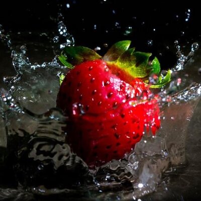 Fragaria x Ananassa fragissimo - Morango Fragissimo