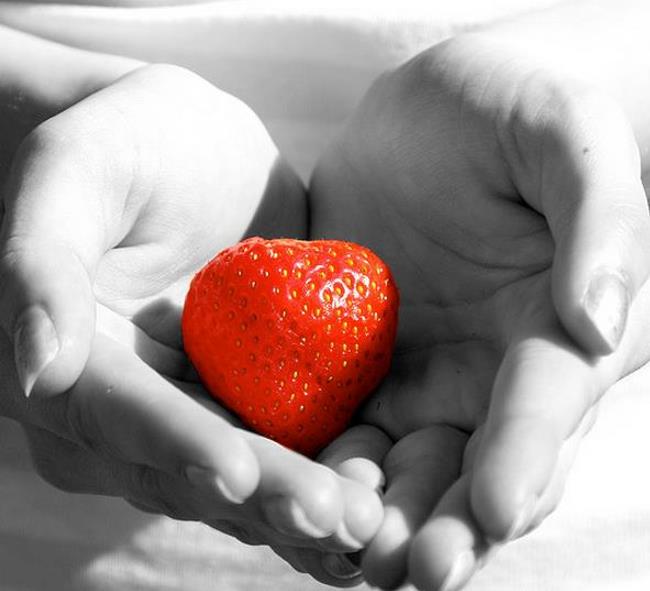 Fragaria x Ananassa fragissimo - Morango Fragissimo - Imagem 10