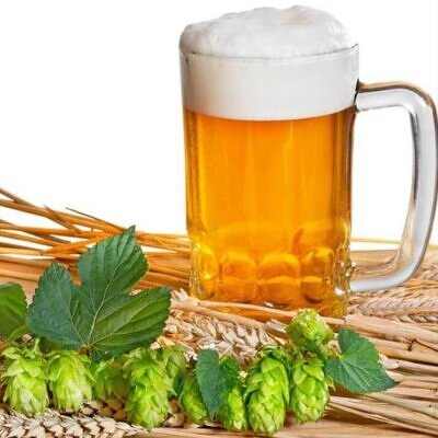 Humulus lupulus - Lúpulo
