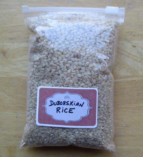 Oryza sativa Duborskian (Certificacao Organica) - Arroz Duborskian, Arroz de montanha - Imagem 11