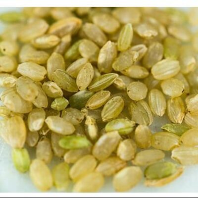 Oryza sativa Hayayuki (Certificação Orgânica) - Arroz Hayayuki