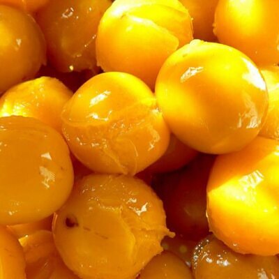 Prunus domestica 'Golden Honey' - Ameixeira, Ameixa Mel Dourado