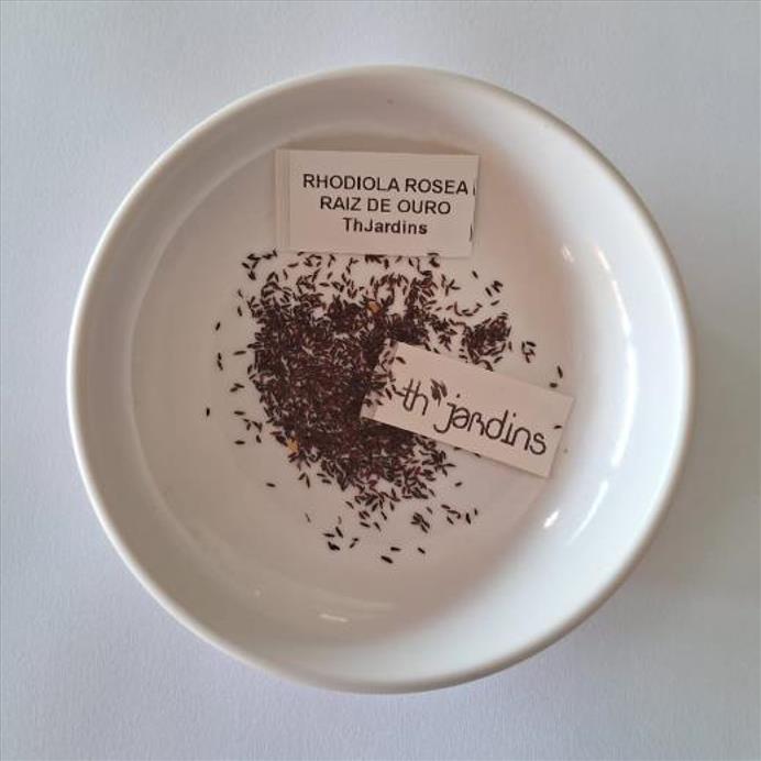 Rhodiola rosea - Raiz de Ouro, Rhodiola, Raiz Dourada, Raiz do Ártico, Roseroot, Golden Root - Imagem 10