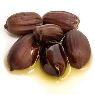 Simmondsia chinensis - Jojoba