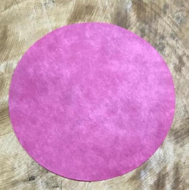 Smoke Seed Primer Plus - Super Smoke Plus (Disco de Fumaça para Germinação) - Disco de Fumaça para tratamento e quebra de dormência em sementes - Imagem 5