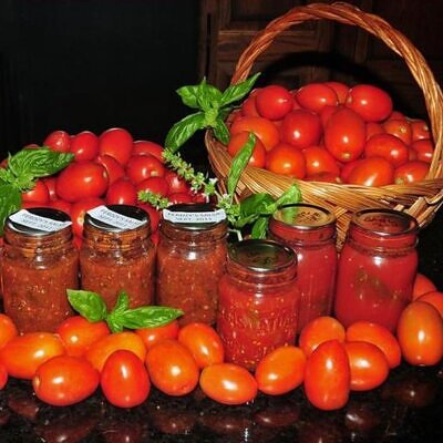 Solanum lycopersicon Roma VF - Tomate Italiano Pomodoro Roma VF, Tomate Pomo d'Oro Roma VF