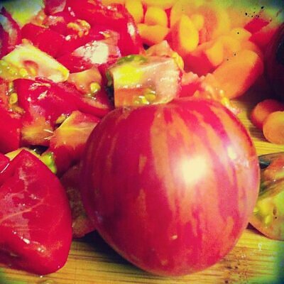 Solanum lycopersicon Tigerella Improved - Tomate Tigrado, Tomate Tigerella