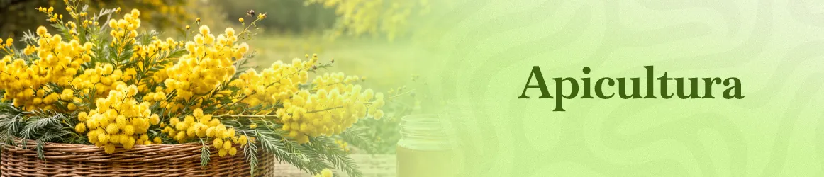 thjardins-seeds-beekeeping