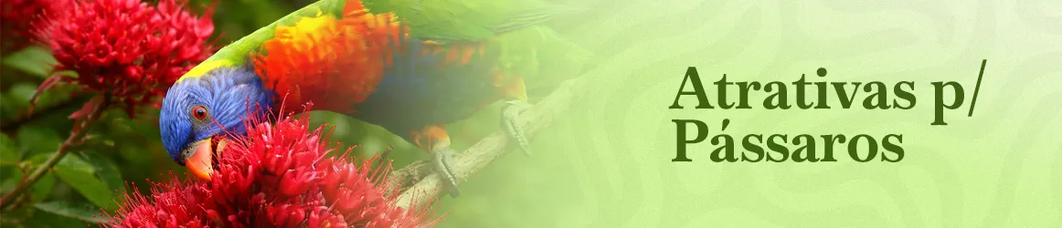 thjardins-seeds-bird-attractor