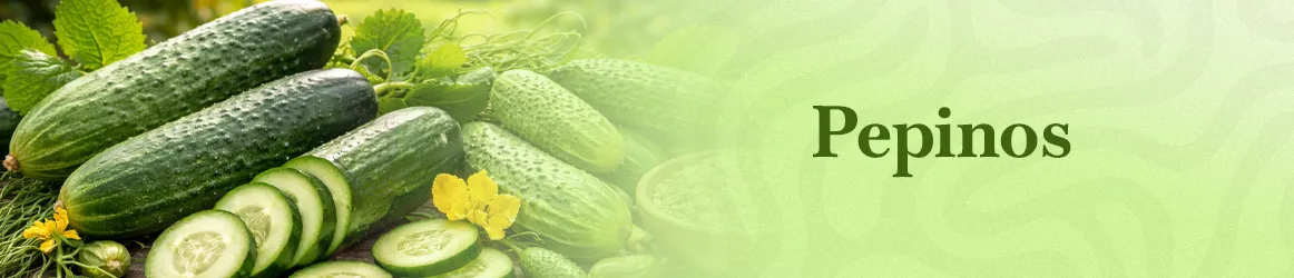 thjardins-seeds-cucumber