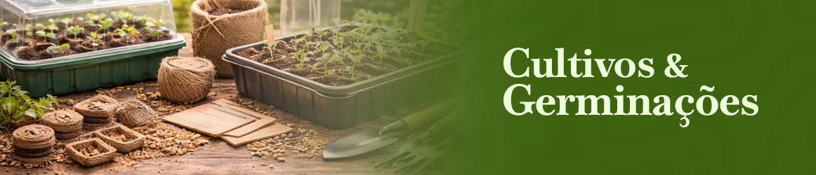 thjardins-seeds-cultivation-and-germination-tools