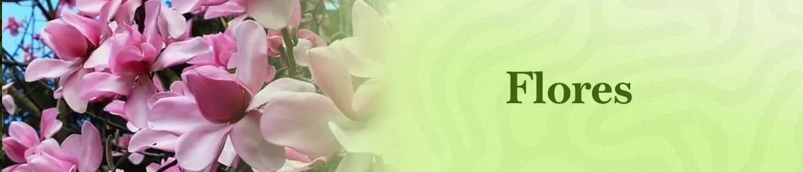 thjardins-seeds-flowers