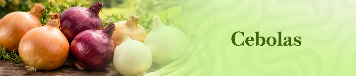 thjardins-seeds-onion