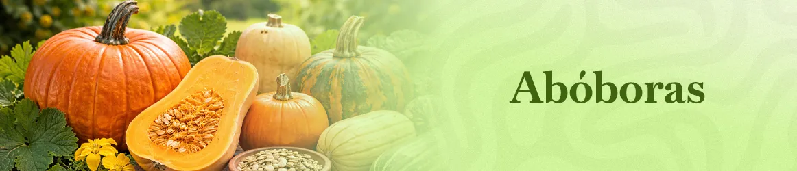 thjardins-seeds-pumpkin