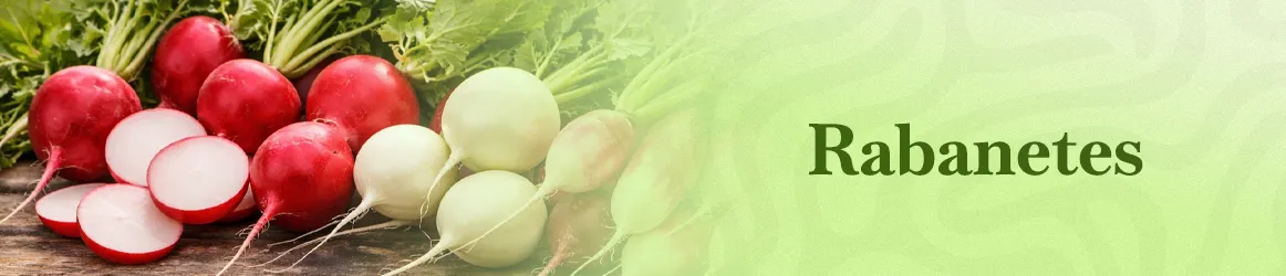 thjardins-seeds-radish