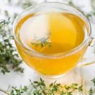 Thymus citriodorus 'Fragantissimus Orange' - Tomilho de Laranja, Tomilho Laranja, Timo Laranja