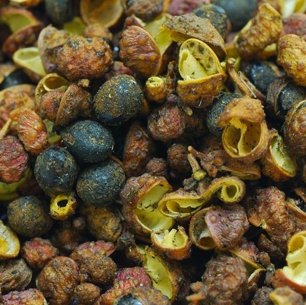 Zanthoxylum simulans - Pimenta sichuan, Pimenta szechuan, Szechwan pepper, Gujart - Imagem 7