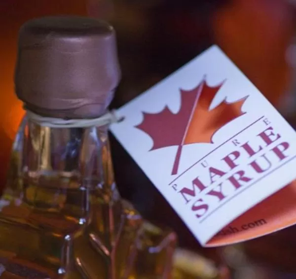 Acer saccharum - Sugar Mapple, Verdadeiro Maple Syrup - Bordo de Prata - Image 2