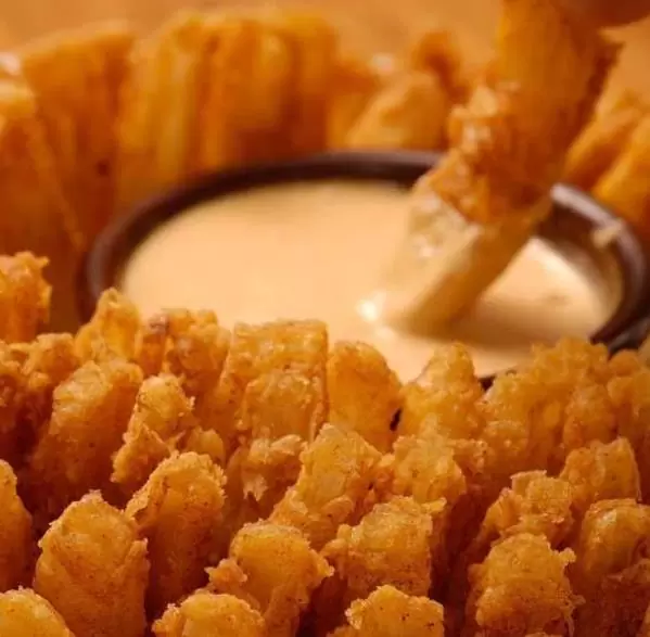 Allium cepa Mammoth Red Onion (C.O) - Cebola Mamute Vermelha, Cebola Gigante Vermelha - Imagem 6