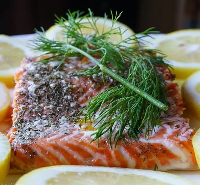 Anethum graveolens Mammoth (C.O) - Dill Mamute, Endro Gigante, Aneto Mamute - Imagem 7