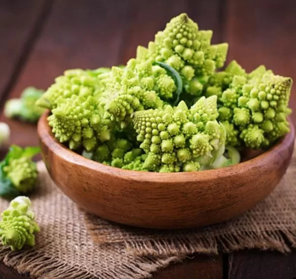 Brassica oleracea Botrytis Romanesco (C.O) - Brócolis Romanesco, Couve-Flor Romanesco, Broccoflower - Image 4