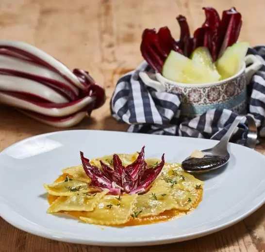 Cichorium Intybus Rossa Di Treviso - Endívia Italiana Roxa, Chicória Roxa De Treviso, Radicchio - Imagem 7