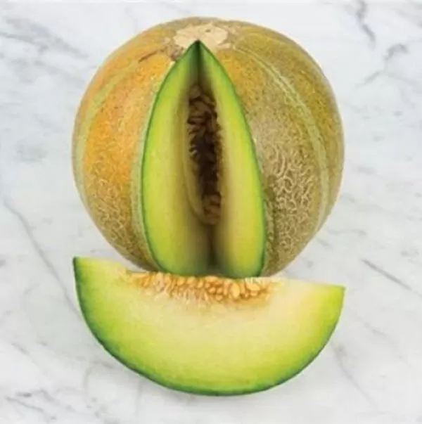 Cucumis melo Ha'Ogen (Certificação Orgânica) - Melão de Israel, Melâo Ha Ogem, Mini Melão Kibbutz, Melâo HaOgem - Image 4