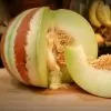 Cucumis melo Kajari (C.O) - Melão Kajari, Melão Mel, Honeydew Melon - Image 4