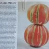 Cucumis melo Kajari (C.O) - Melão Kajari, Melão Mel, Honeydew Melon - Image 6