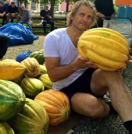 Cucumis melo zugdidi giant certificação orgânica - Melão Gigante de Zugdidi, Melão Gigante Zugdidi, Giant Musk Melon - Image 4