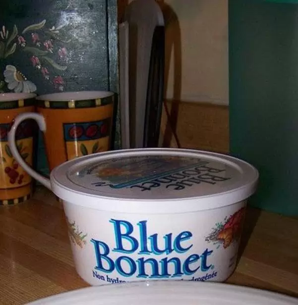 Oryza sativa Blue bonnet - Arroz Blue bonnet, Arroz de Belize, Arroz Armênio - Imagem 5
