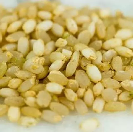 Oryza sativa Cse he Jao (Certificação Orgânica) - Arroz Cse he Jao, Arroz glutinoso - Imagem 2
