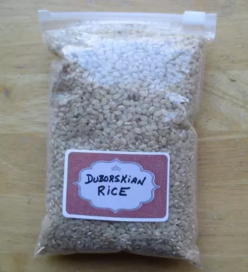 Oryza sativa Duborskian (Certificação Orgânica) - Arroz Duborskian, Arroz de montanha - Image 11