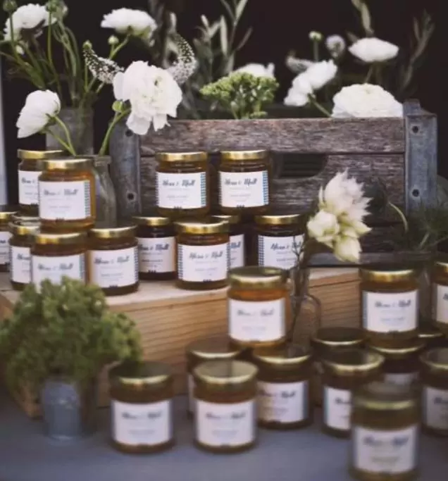 Schima superba - Planta do Chá, Árvore do Mel Schima, Needlewood - Imagem 4