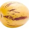 Solanum muricatum - Melão-Pera, Melão Andino, Melão dos Andes, Pepino doce - Image 8