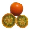 Solanum quitoense - Naranjilha de Quito, Lulo da Colômbia, Frutos de ouro dos Andes - Image 3