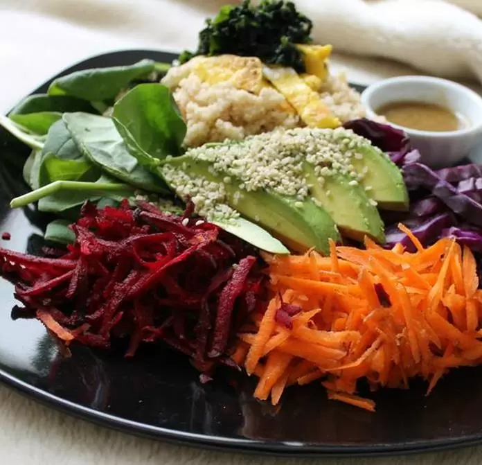 Daucus carota 'Purple Dragon' (C.O) - Cenoura Roxa Gourmet, Cenoura Bicolor, Cenoura colorida - Imagem 6