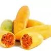 Passiflora mollissima (Passiflora tarminiana) - Maracujá Banana - Image 3