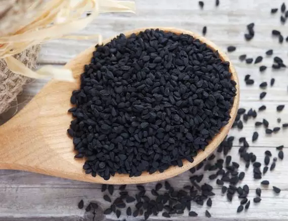Nigella sativa (Certificação Orgânica) - Cominho Preto Verdadeiro, Cominho Negro, Black Cumin, Cominho Tempero, Alcaravia - Image 5