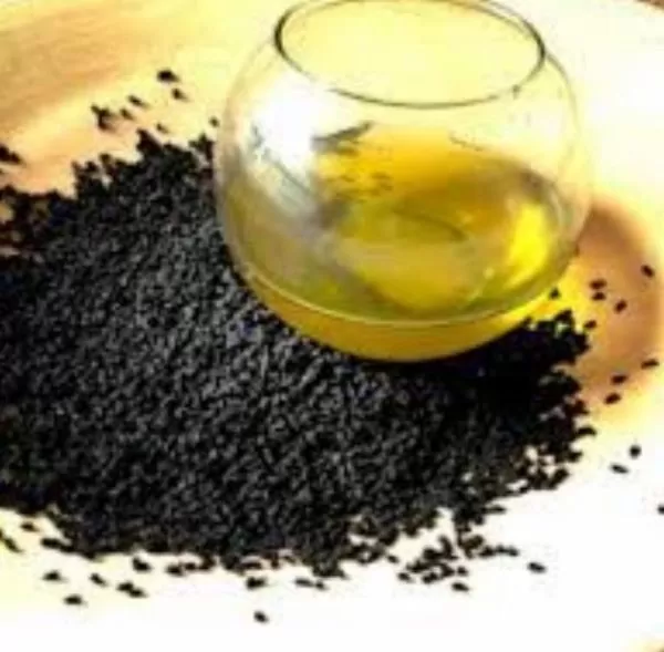 Nigella sativa (Certificação Orgânica) - Cominho Preto Verdadeiro, Cominho Negro, Black Cumin, Cominho Tempero, Alcaravia - Image 7