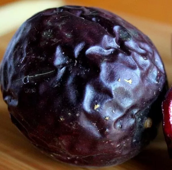 Passiflora edulis 'Purple Giant' - Maracujá Roxo Gigante, Videira da Paixão - Image 2