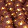 Elaeocarpus ganitrus - Azeitona Azul, Rudraksha, Contas de Mirtilo - Image 8