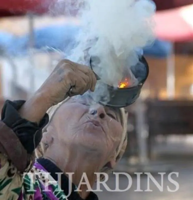 Peganum harmala - Arruda Síria, Arruda Selvagem, Harmal, Arruda Africana - Imagem 9