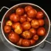Ziziphus jujuba - Jujuba Chinesa, Jujubeira, Tâmara Vermelha, Tâmara Chinesa - Image 10