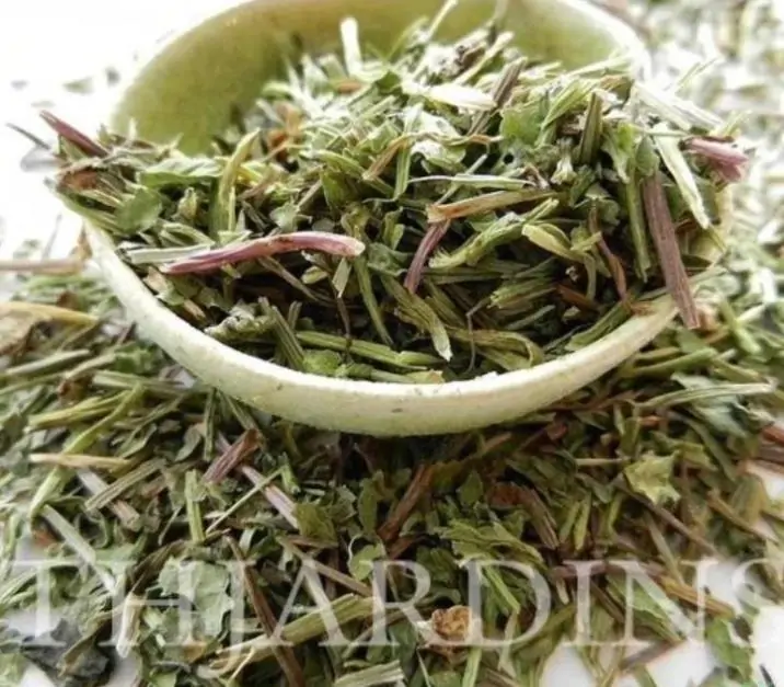 Centella asiatica - Centelha Asiática, Gotu kola, Brahmi - Imagem 6