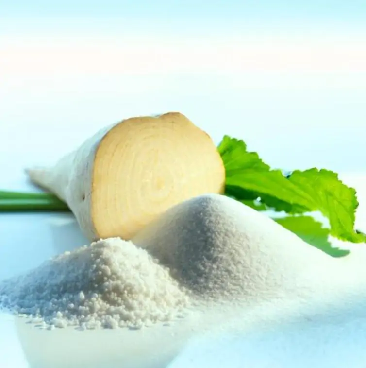 Beta Vulgaris Var. Saccharifera - Beterraba açucareira, beterraba sacarina, sugar beet, betterave - Imagem 8