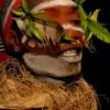 Tabernanthe iboga - Iboga, Árvore da Sabedoria, Árvore do Conhecimento, Ibogaina